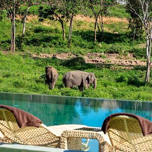 Wild Cottages Elephant Sanctuary Resort